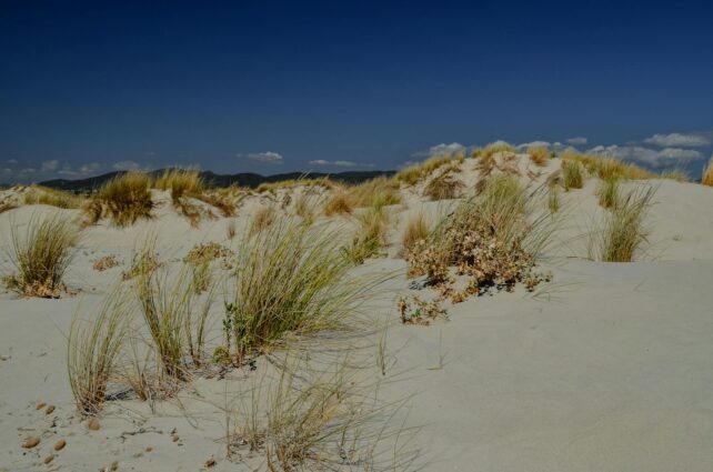 deluxetravelclub_biuro podróży sardynia-50_1.jpg